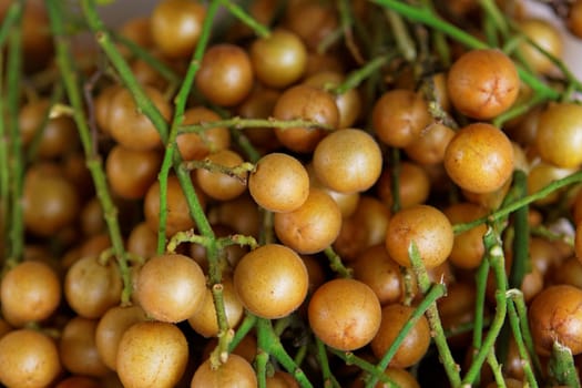Longan on the green tree