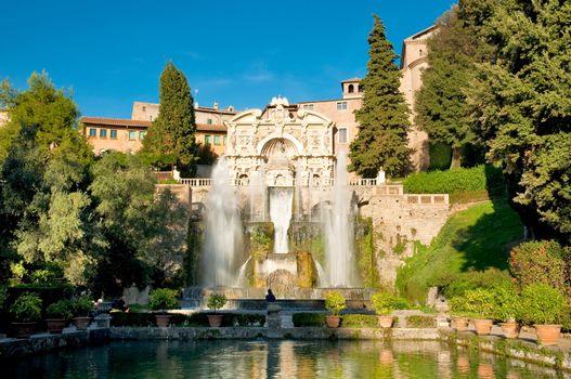 Fontane del Nettuno e dell' Organo at Villa D'este in Tivoli - Roma - Italy  horizontal