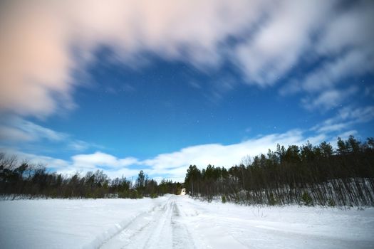 Winter landscape of Forest and star in Lapland Kiruna Sweden