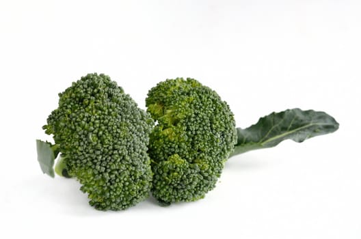 Broccoli vegetable isolated on white