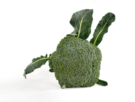 Broccoli vegetable isolated on white