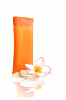 sunblock with flower and shells