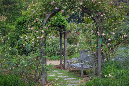 English Garden After the Rain at Descanso Gardens