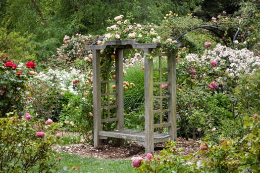 English Garden After the Rain at Descanso Gardens