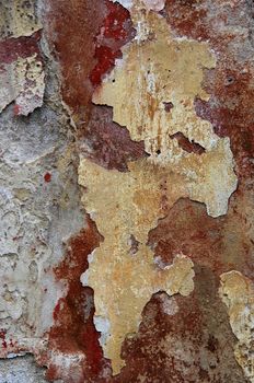 texture of the old and damaged stucco - plaster