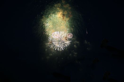 Fireworks image