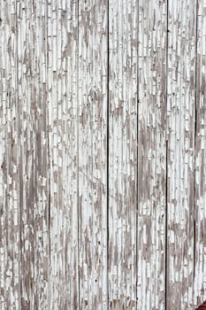 Vintage or grungy white background of natural wood or wooden old texture as a retro pattern wall.