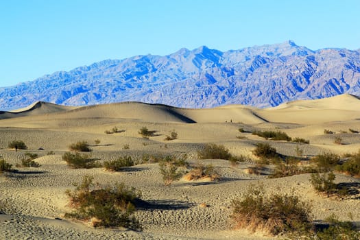 Sand Dunes, Ripples And Mountain Peaks, Death Valley National Park, California