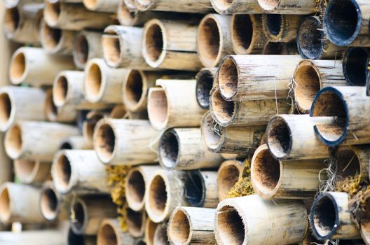 A stack of bamboo cuts.