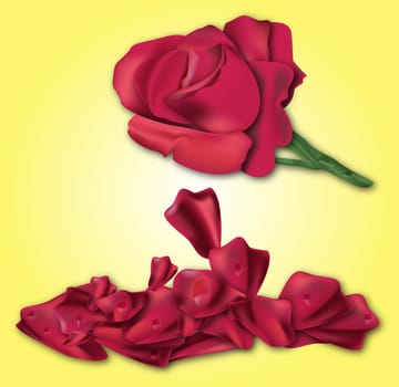 Illustration of a red rose at yellow background with petals at the bottom part.