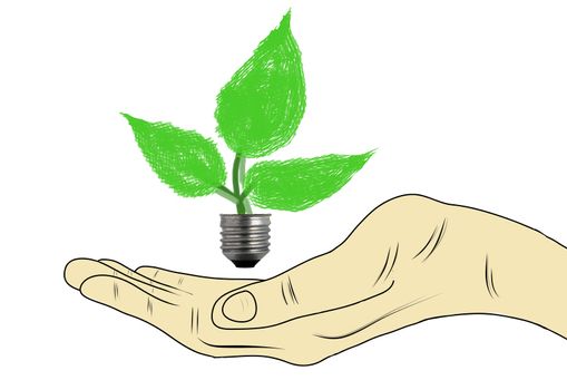 Hand holding lightbulb with a plant growing inside