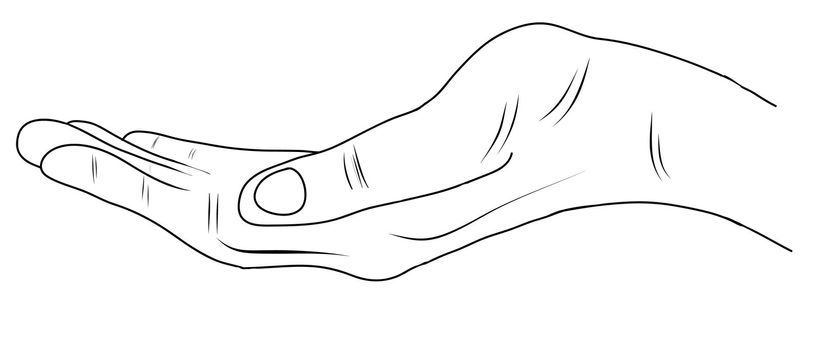 hand sketch drawing