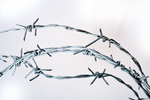 knotty barbwire