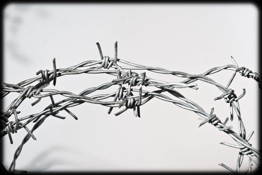knotty barbwire