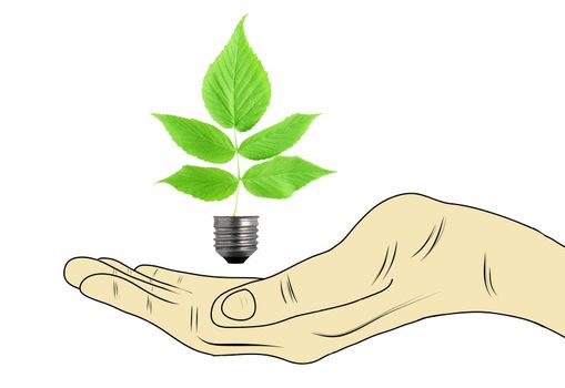 Hand holding lightbulb with a plant growing inside