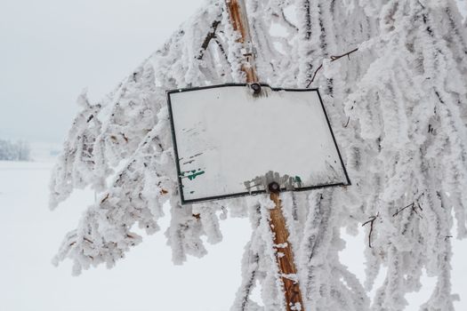 snowy tree with empty sign in winter landscape