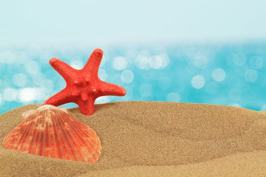 vacation background with seashell and starfish on sand with blue bokeh
