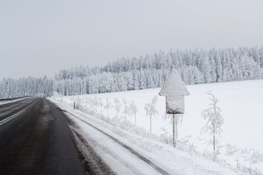 Nice winter landscape with trees snow and sun