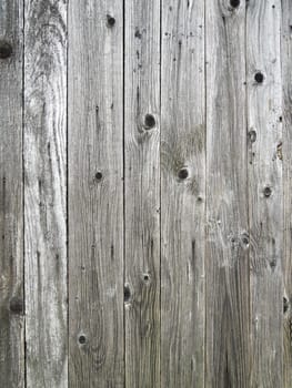 Gray wooden wall background