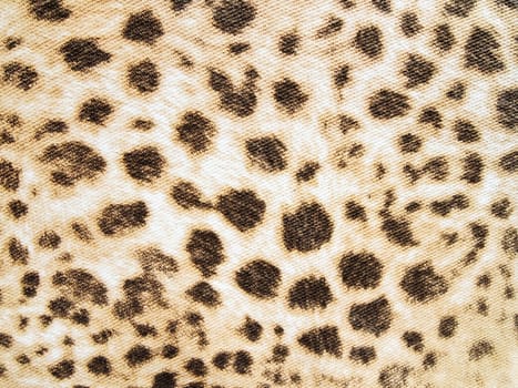 Leopard texture background