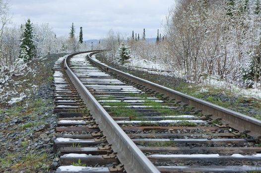 Railroad receding into the distance, amongst snowy forest.