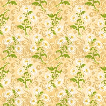 Seamless floral background, chamomile flowers and silhouette on white.