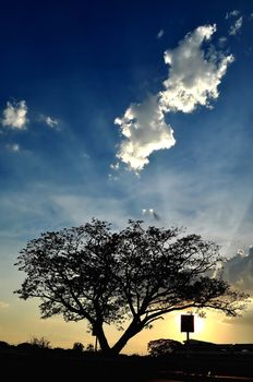 Beautiful evening sky with the foreground trees. Lamphun Province, Thailand.