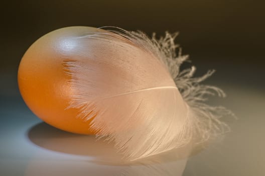 brown egg with feather