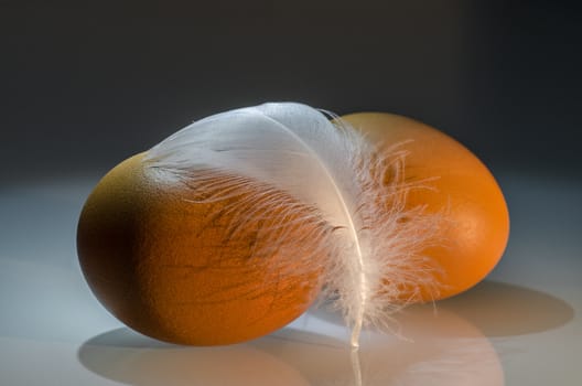 two brown eggs with feather on top