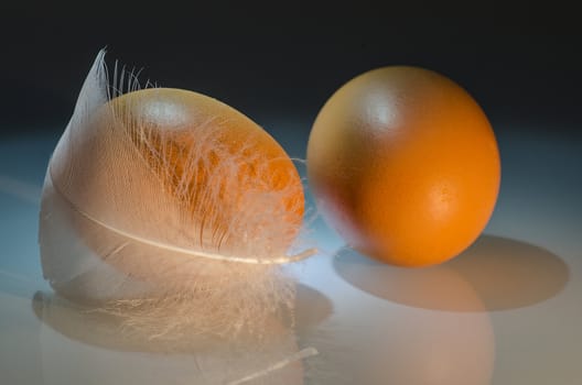 two brown eggs with feather one side