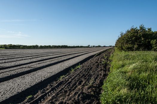 agriculture in denmark