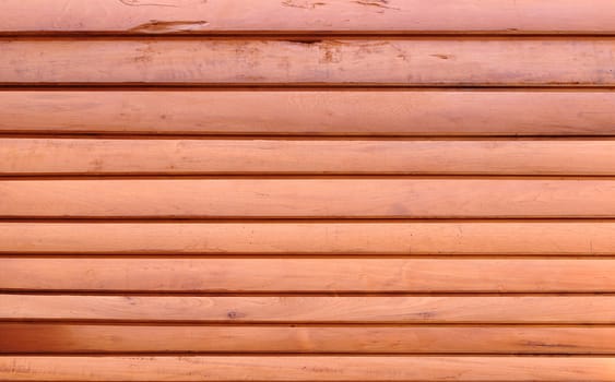 Texture wood pattern