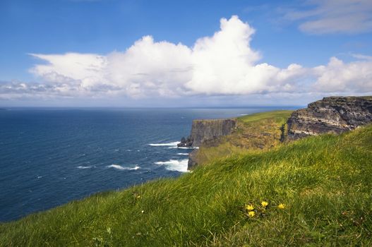 an Ireland landscape at Cliffs of Moher