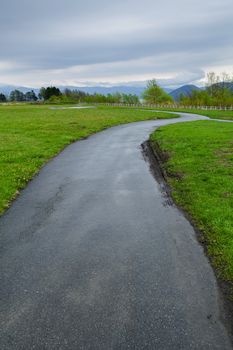 road with green grass landscape