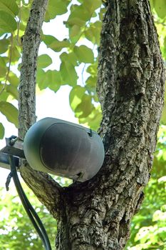 Speakers on the tree Using music in the park