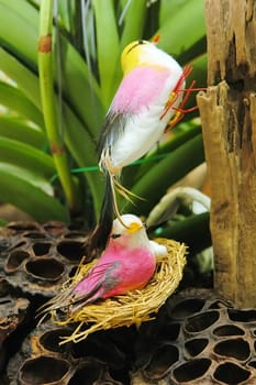 Bird false to decorate gardens