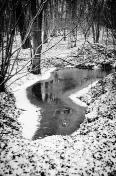 Pond in woods in snow in black & white