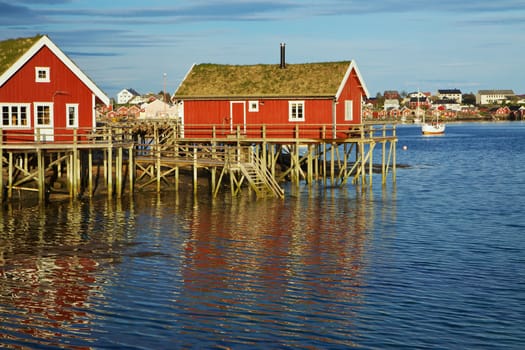 Traditional red rorbu huts with green roofs in fishing town of Reine on Lofoten islands in Norway