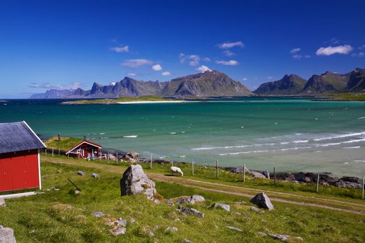 Scenic sheep farm on Lofoten islands in Norway