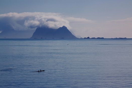 Scenic seascape panorama with two orcas sailing out into the sea