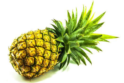 Pineapple