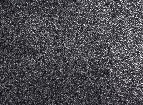 Black leather texture. Clothes background. Close up