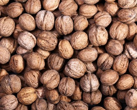 Walnuts isolated on white background. Close up