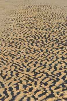 sand in ripples caused by tide