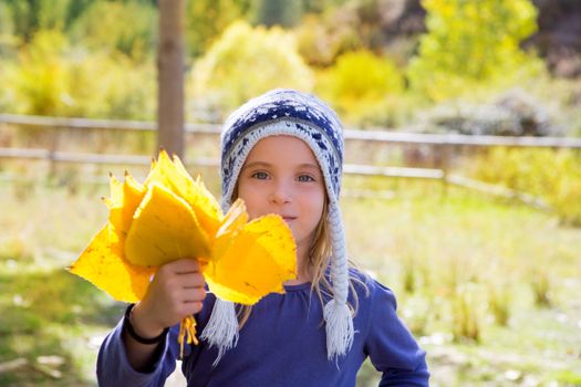 Child girl in autumn poplar forest with yellow fall leaves in hand smiling happy outdoor