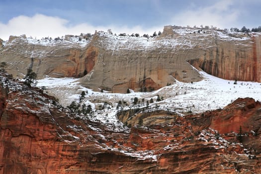 Dramatic View of Canyon, Zion National Park Cliffs