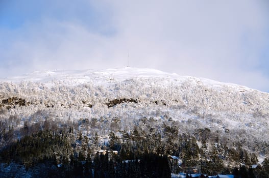 Norwegian winter landscape with a mountain peak with snowcovered forest