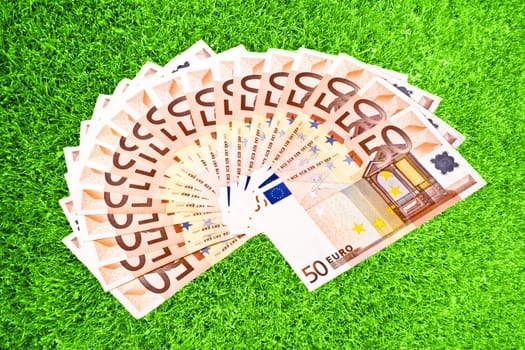 Fifty euro paper money on green grass