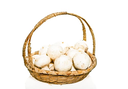 Basket full of mushrooms on a white background