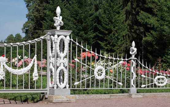 Ornate iron-wrought fence of rose garden